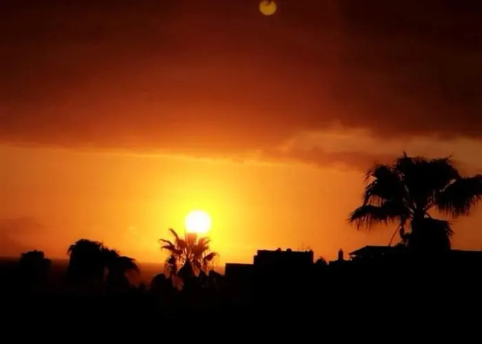 Garden * Costa Adeje (Tenerife)