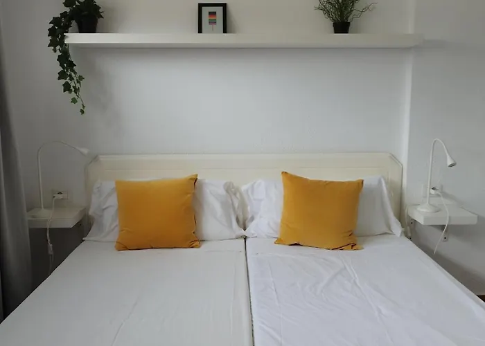 Garden * Costa Adeje (Tenerife)