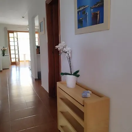 Garden Appartement *