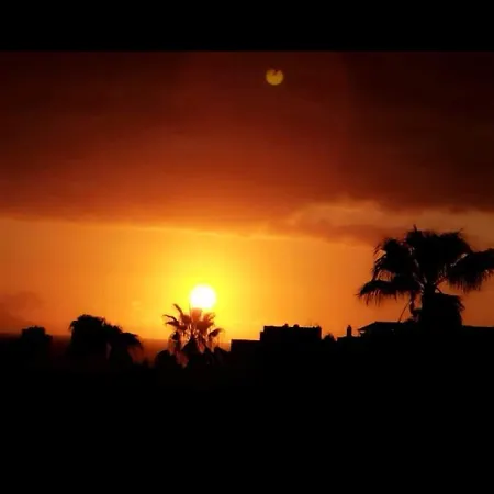 Garden * Costa Adeje (Tenerife)